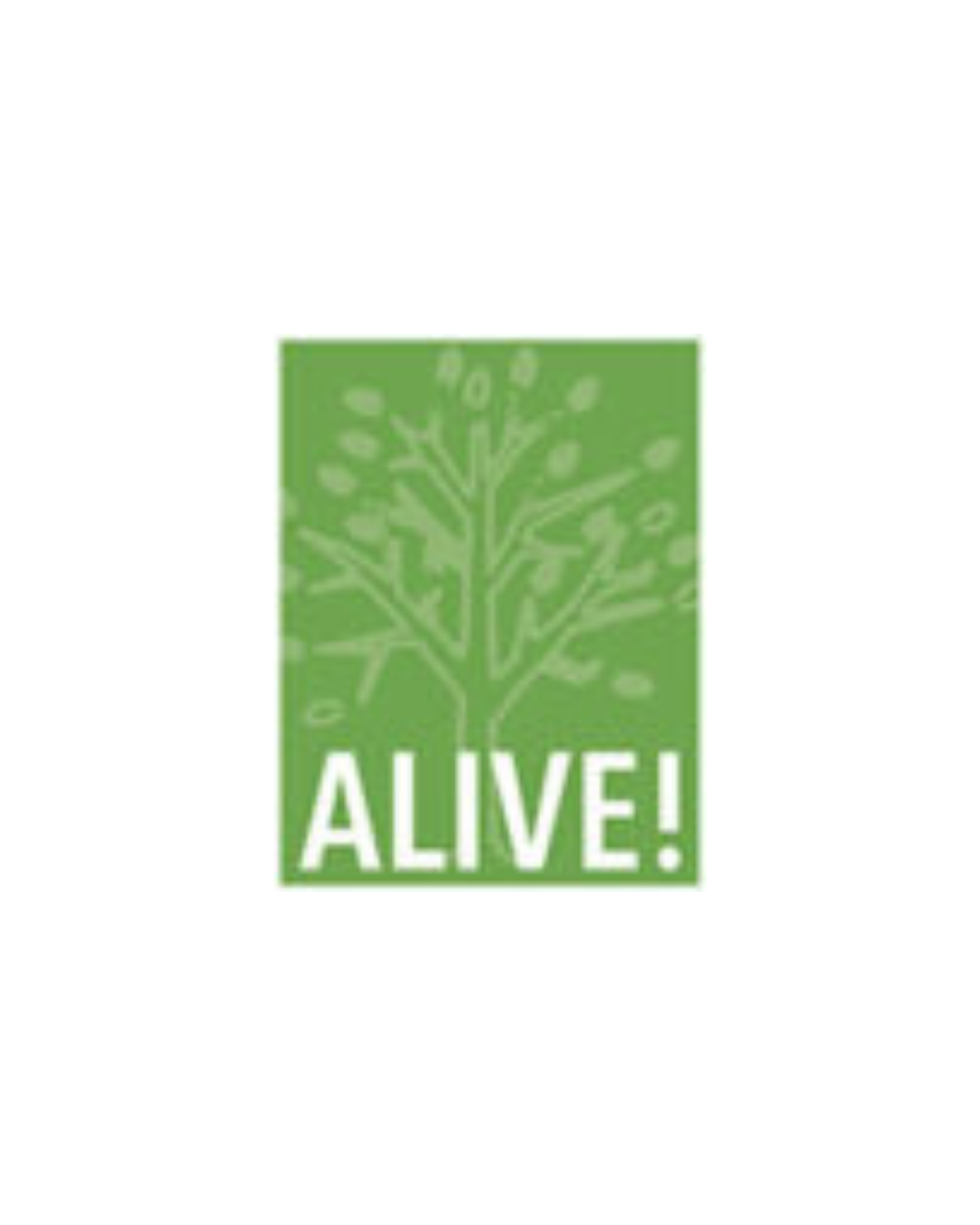 Untitled design - 2026-03-11T133234.228