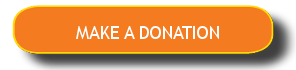 donation button