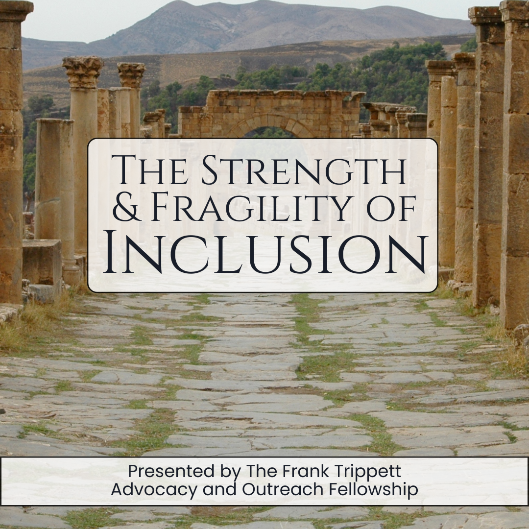 the strength and fragility of inclusion